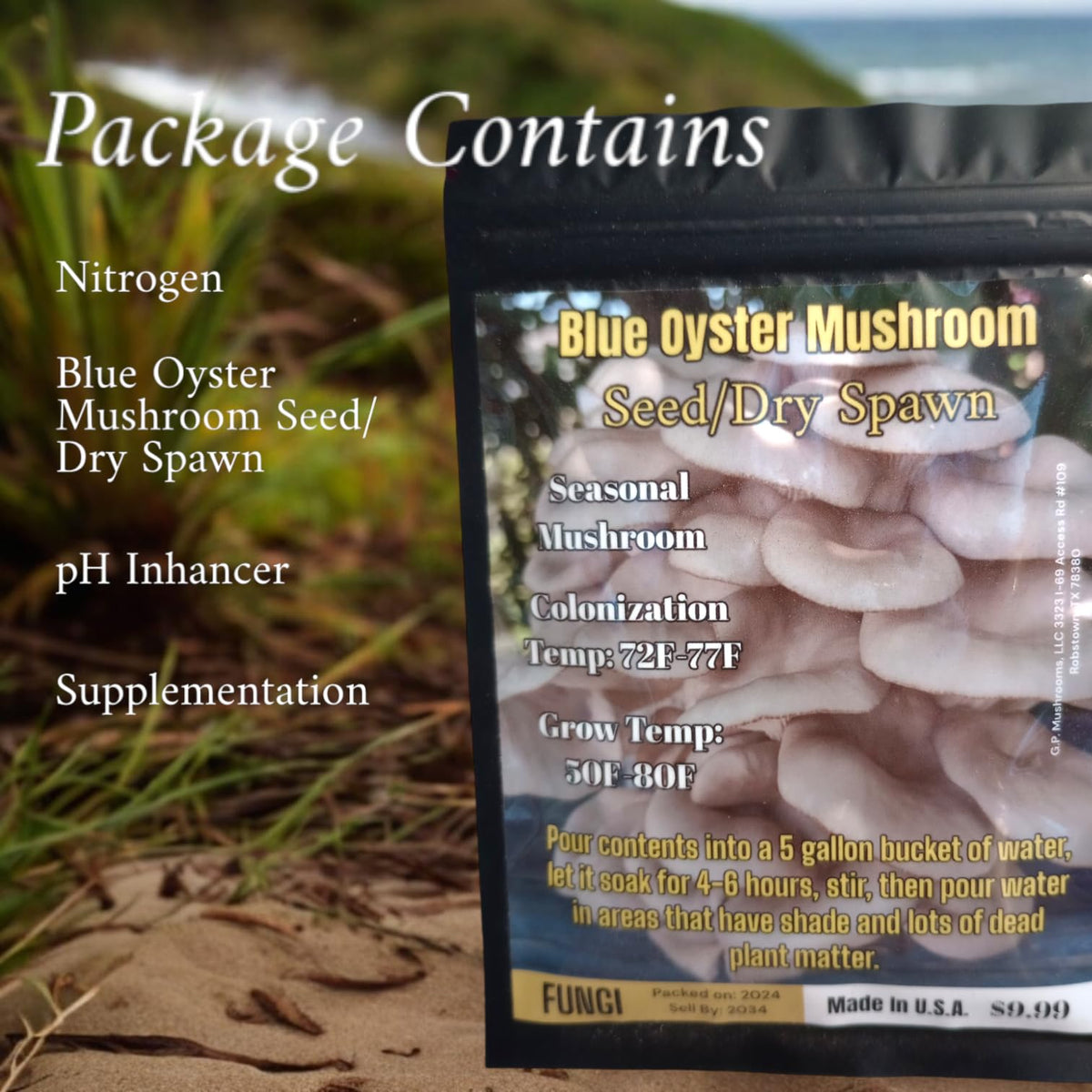 Generic Blue Oyster seed/dry spawn patch setup demonstrates easy garden cultivation and expansion.