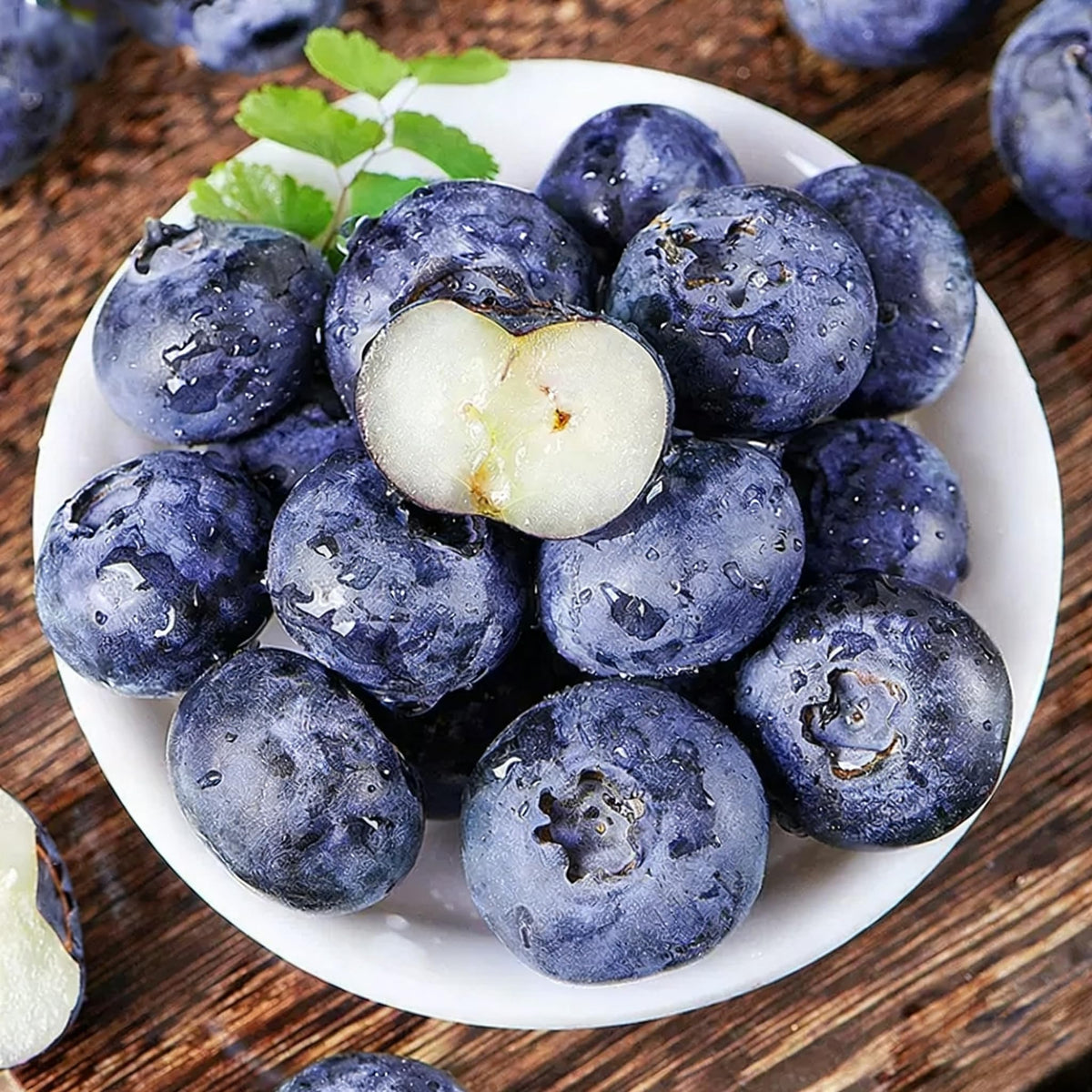 Generic blueberry seeds ready to sow in soil for fresh harvest potential.