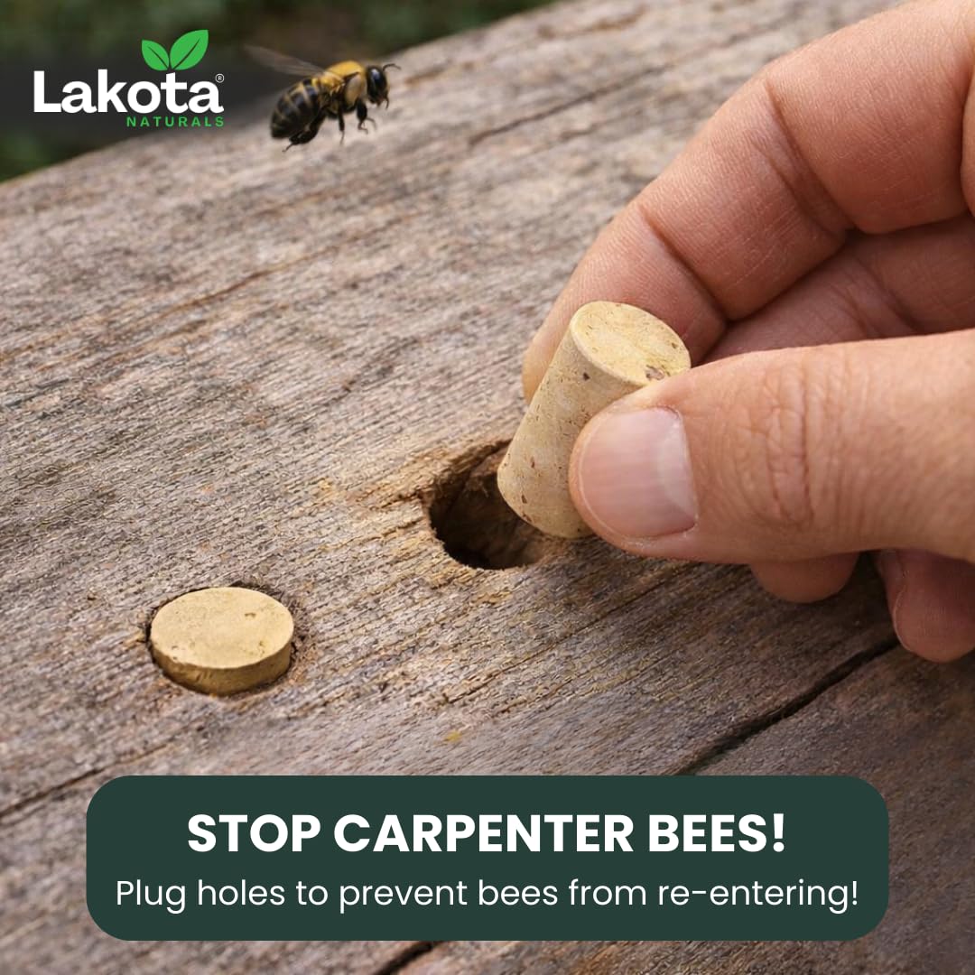 Generic Carpenter Bee Plugs outdoors sealing wood holes to deter future nesting.
