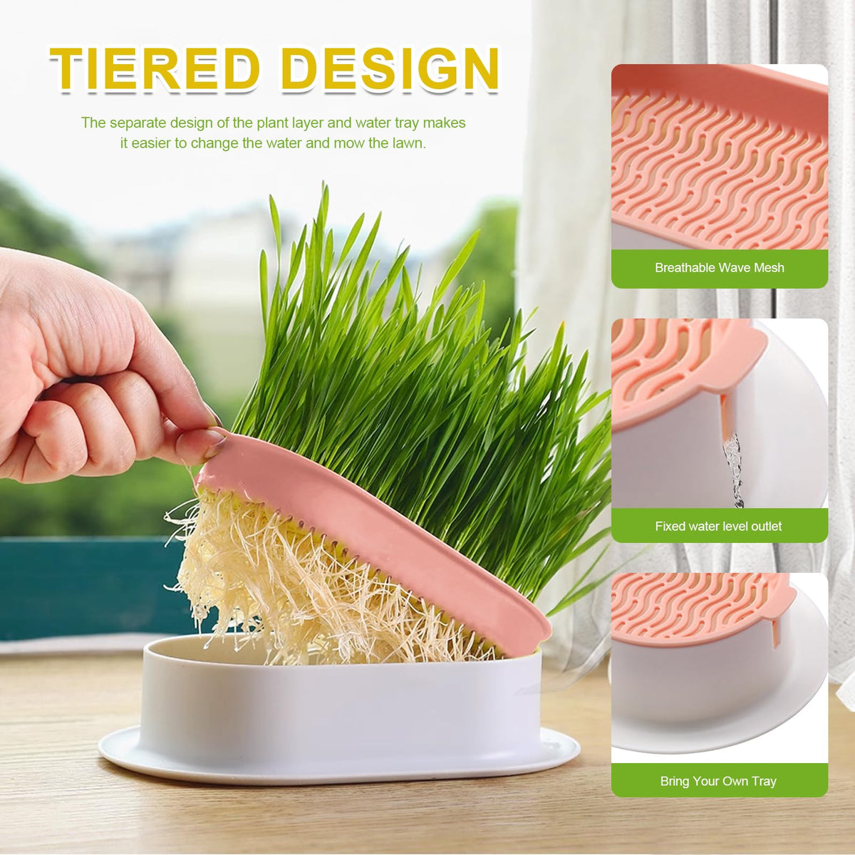 Generic cat grass growth indoor tray offers a fresh greens nibble for cats.
