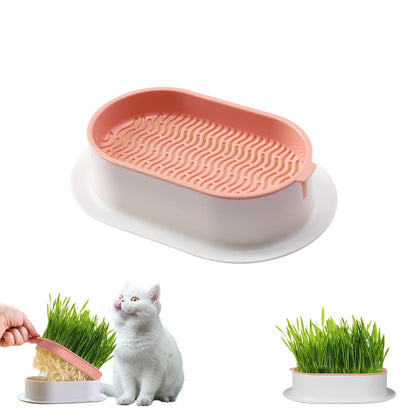 Generic cat grass hydroponic kit tray demonstrates soil-free growing for busy pet owners.