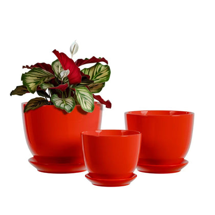 Generic ceramic plant pot 4-inch front view with drainage holes for healthy roots