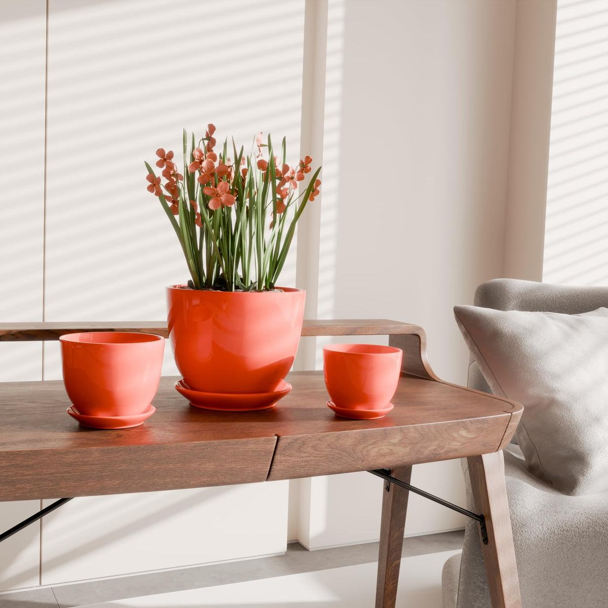 Generic ceramic plant pot 6-inch top view showing drainage and saucer