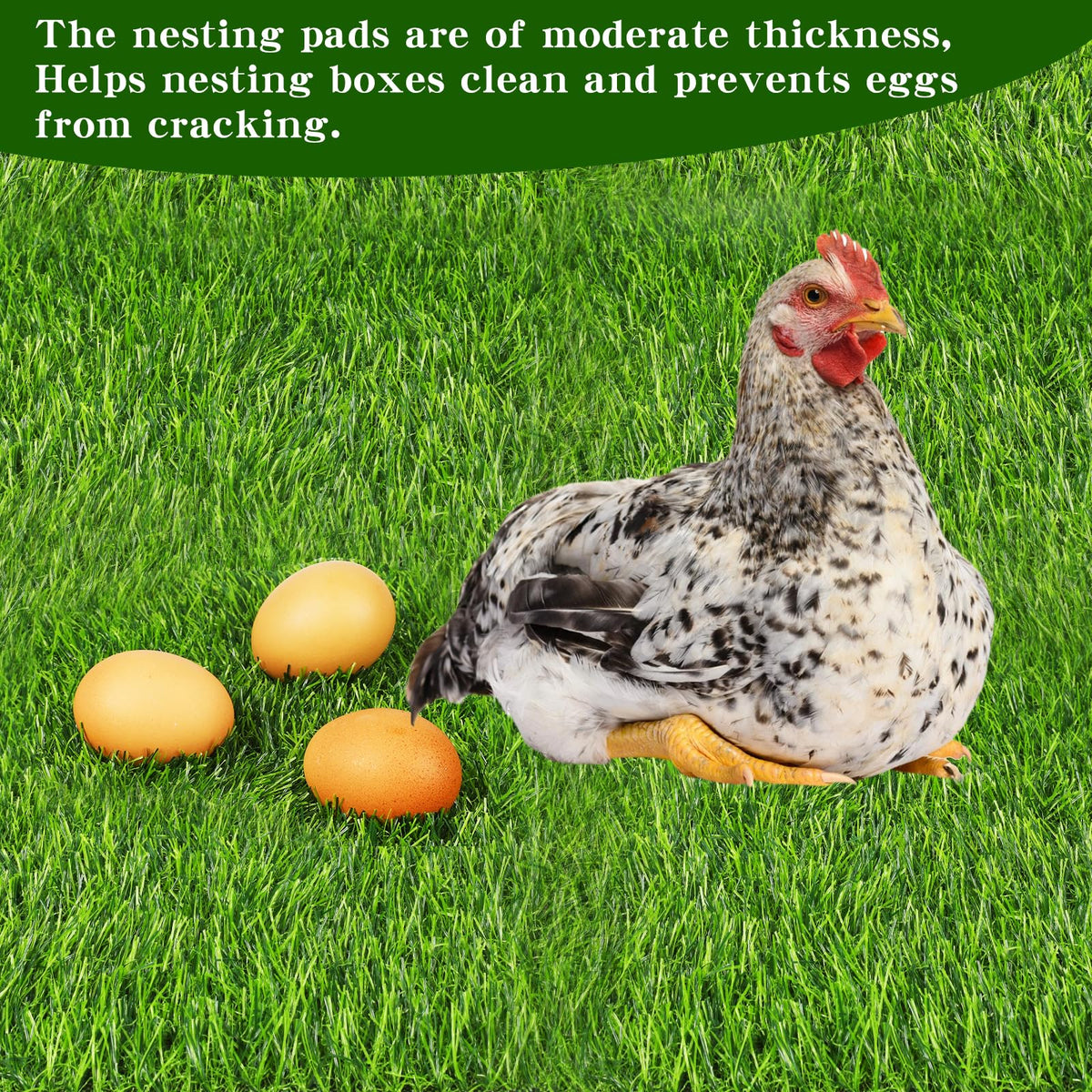 Generic chicken nesting pads 4-pack ready for reuse