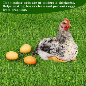 Generic chicken nesting pads 4-pack ready for reuse