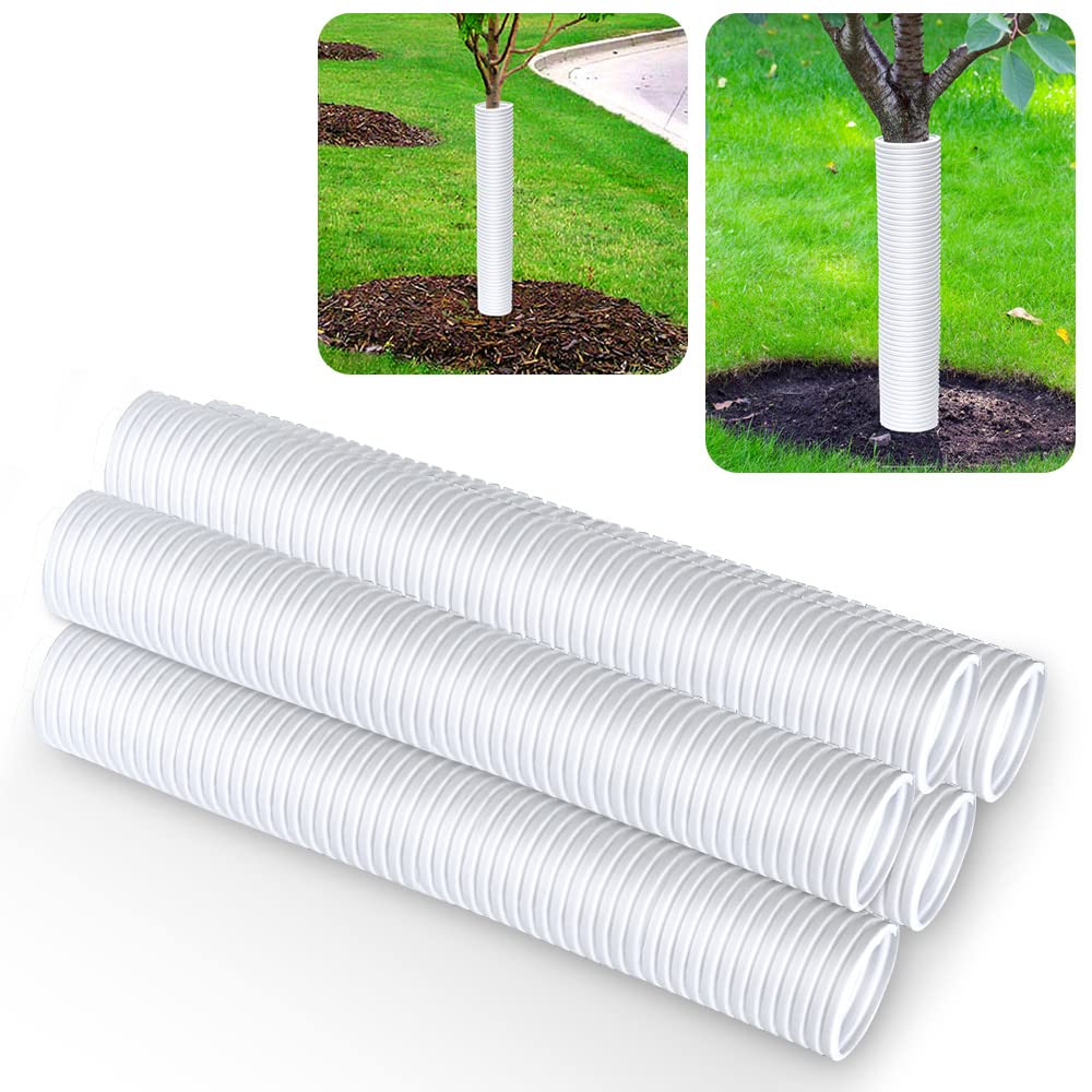 Generic corrugated tree guards front view protect saplings from animals