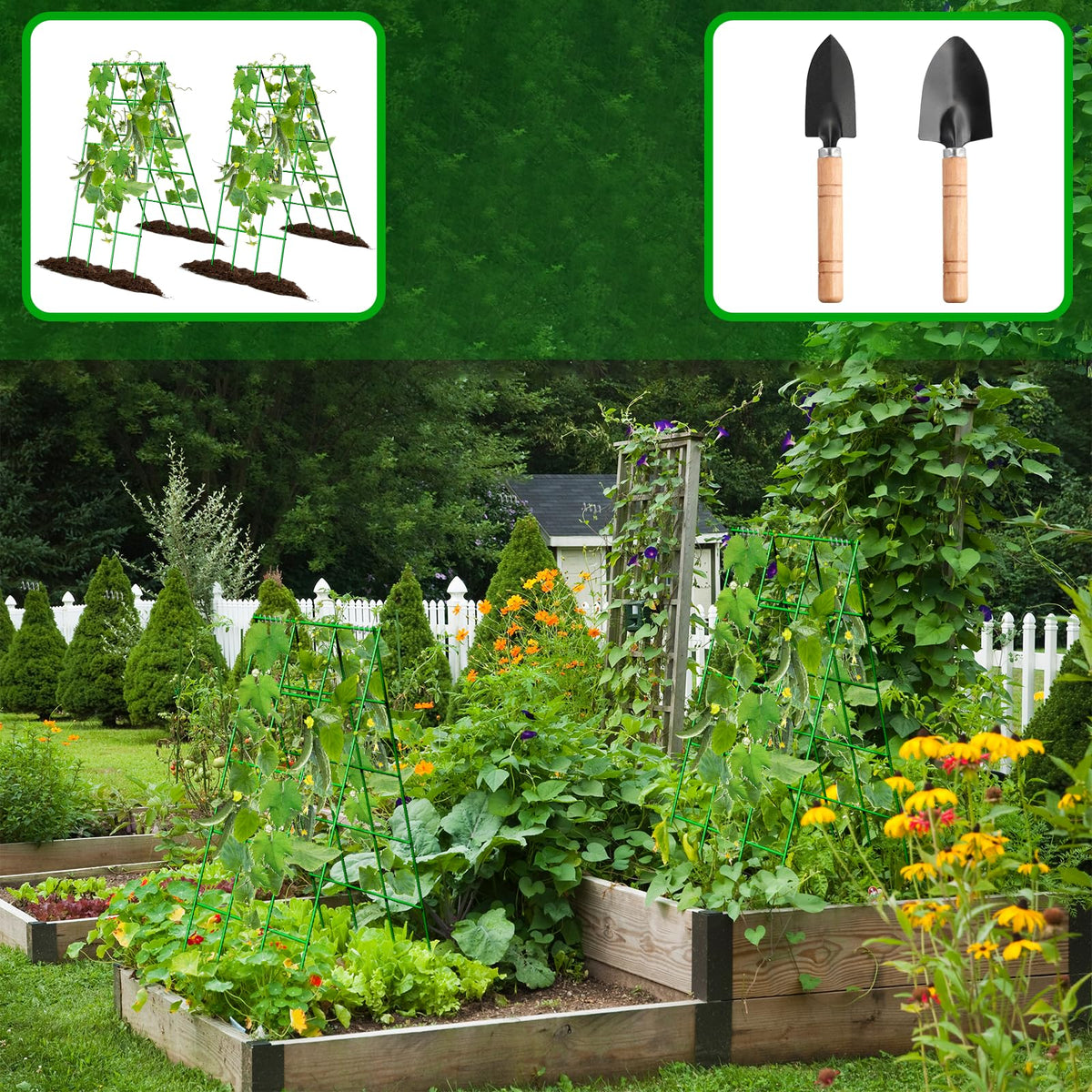 Generic doublesurface trellis improves air circulation and makes training vines easier.