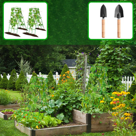 Generic doublesurface trellis improves air circulation and makes training vines easier.