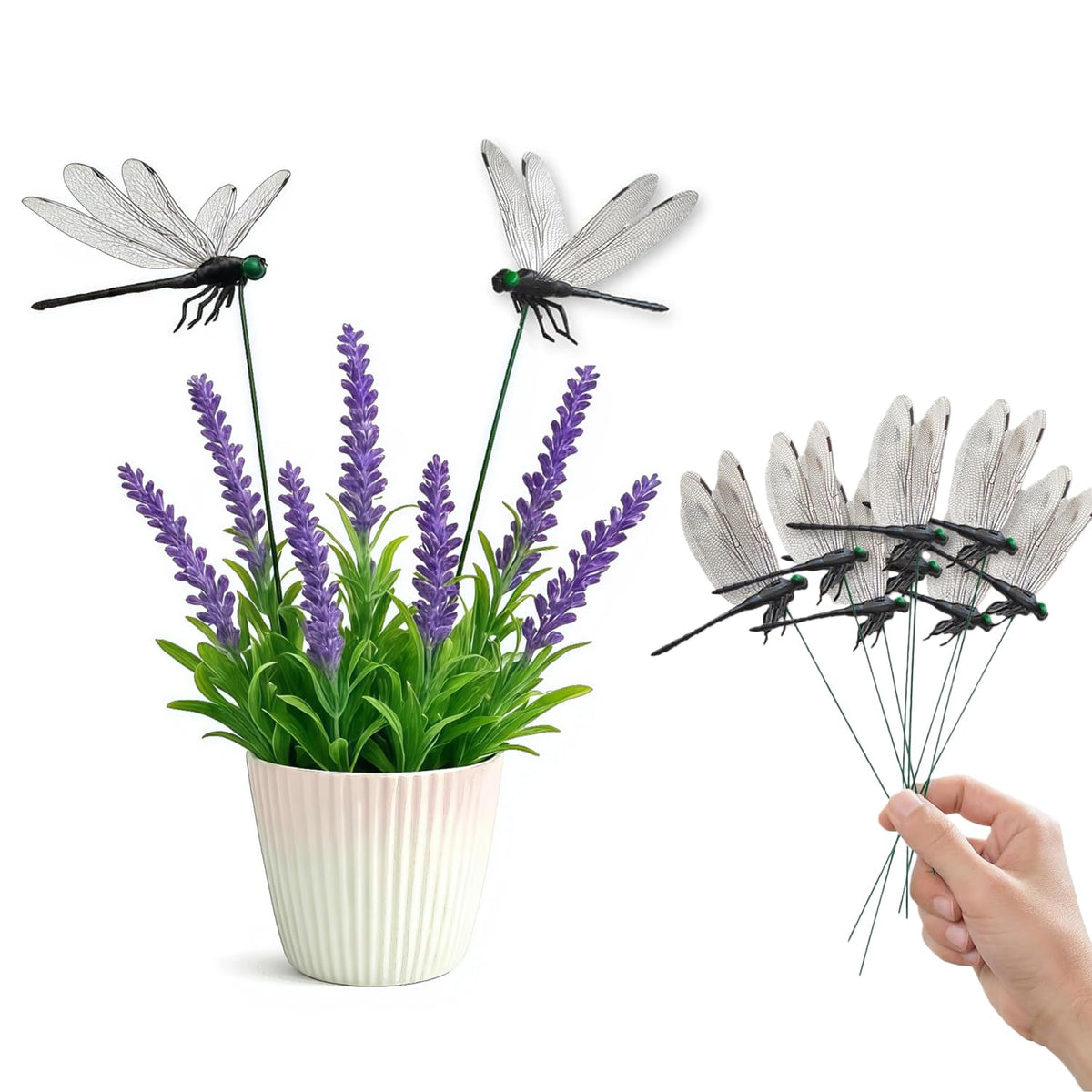 Generic dragonfly clip dotted wings close-up showing lifelike detail.