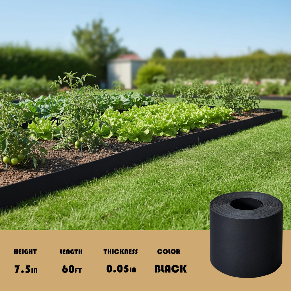 Generic edging along a driveway edge for crisp border definition.