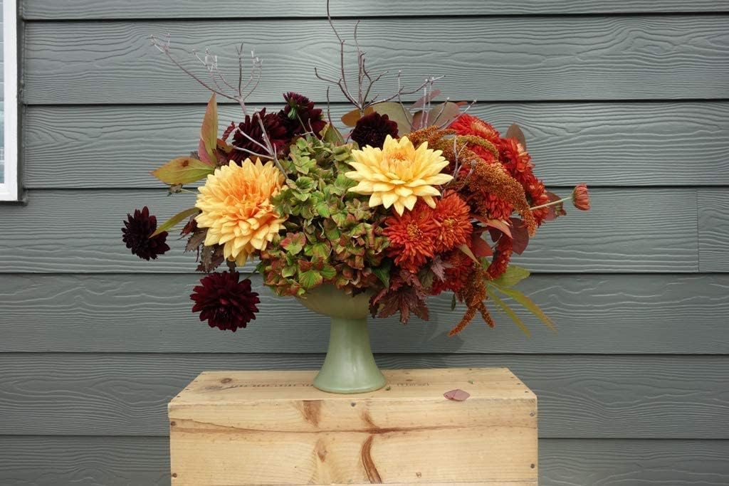 Two-pack floral cages for versatile centerpiece design and quick swaps