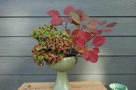Generic Floral Cage preserves shape for elegant table centerpieces and sympathy arrangements.