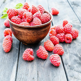 Generic fruit seed mix blueberry—image highlights acidic soil prep for blueberries