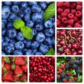Generic 1500Pcs mix fruit seeds for blueberry variety suitable for indoor sowing.