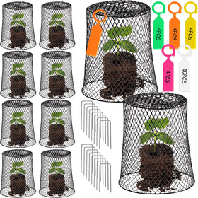 Generic garden chicken-wire cloche 11x11 cover protects seedlings with breathable metal mesh.