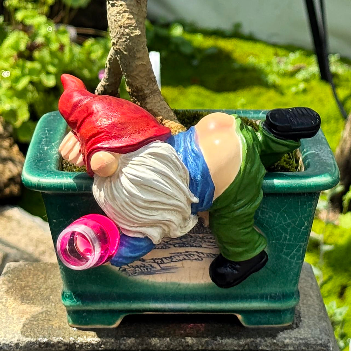 Generic garden dwarf gnome statue suitable for lawns and year-round use.
