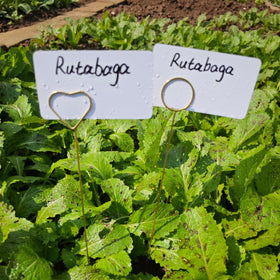 Generic Garden Markers elevated stakes improve label visibility among plants.