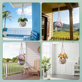Generic gift option for plant lovers during holidays and celebrations.