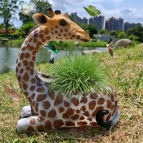 Generic Giraffe Planter Statue perfect for succulents and tiny herbs.