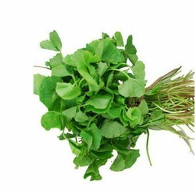 Dry seed storage location image showing cool, dry storage