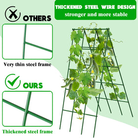 Generic cucumber trellis frame dimensions support cucumbers, peas, and tomatoes.