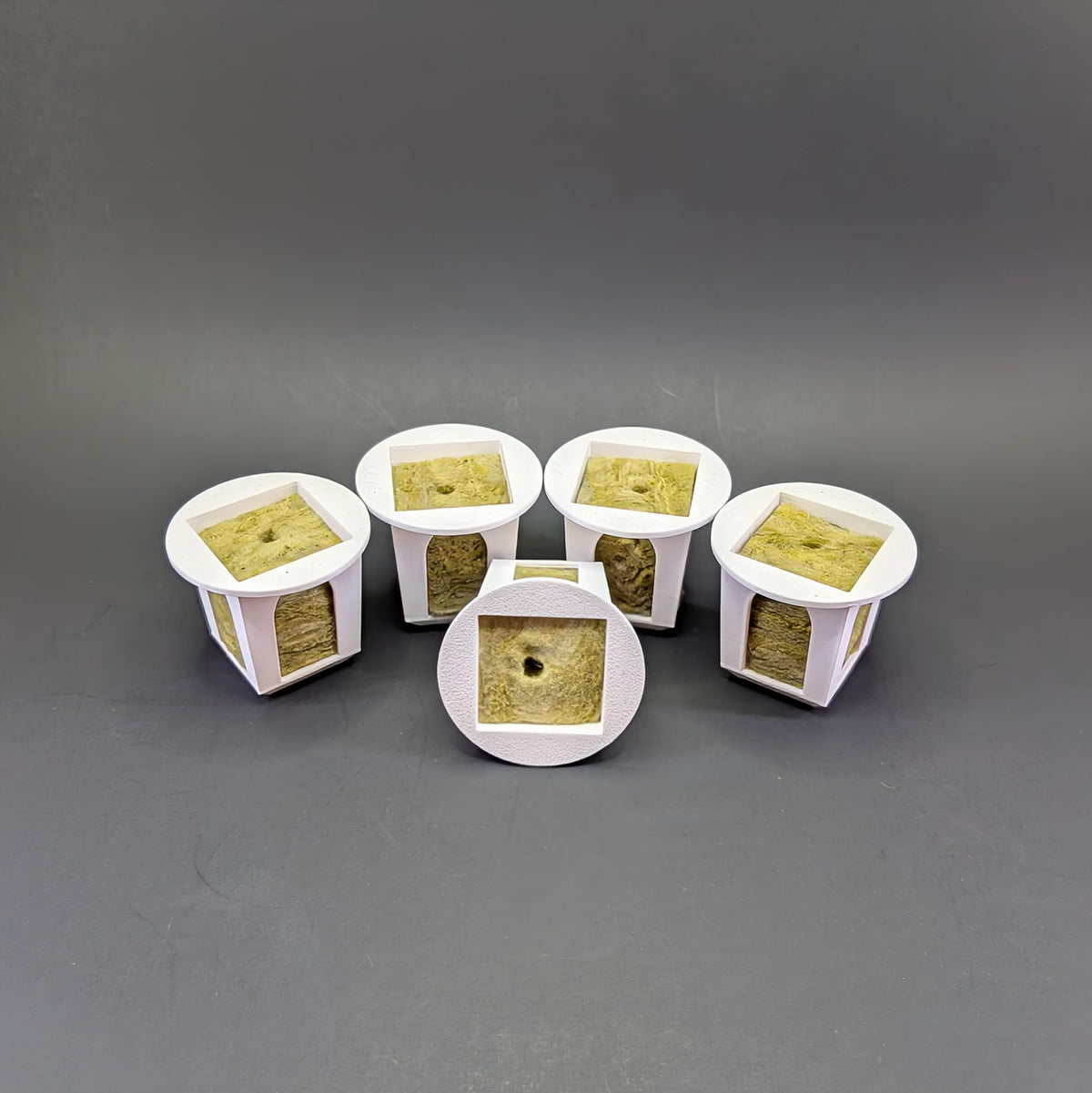 Generic Grow Cubes clone-support setup aids propagation success.