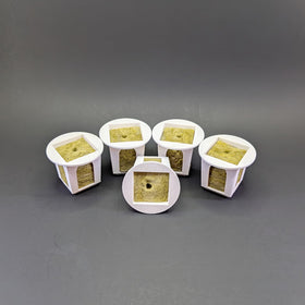 Generic Grow Cubes clone-support setup aids propagation success.