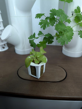 Generic Grow Cubes easy-clean PETG surface simplifies maintenance.