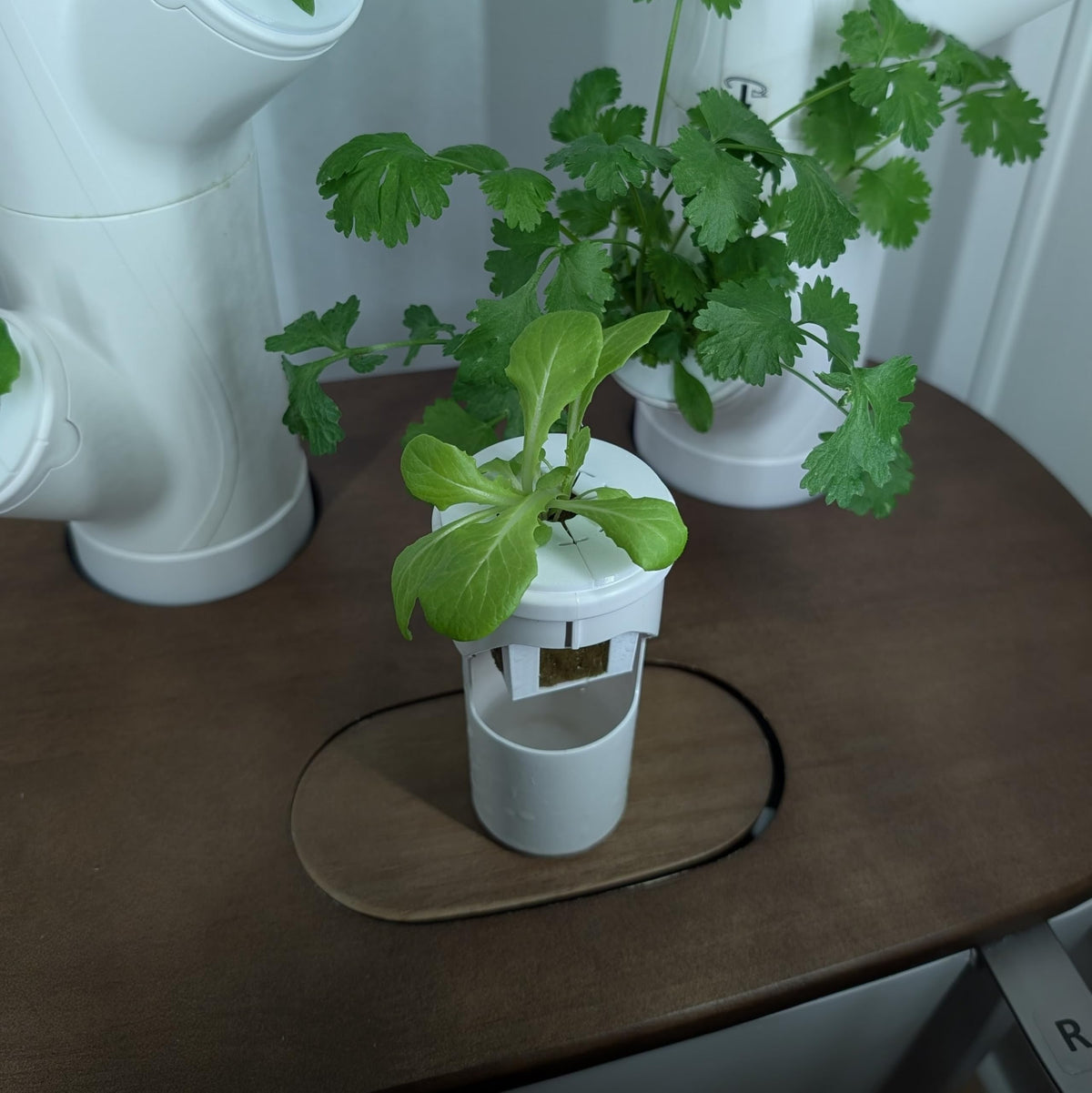 Generic Grow Cubes open-structure promotes oxygenation for healthier roots.