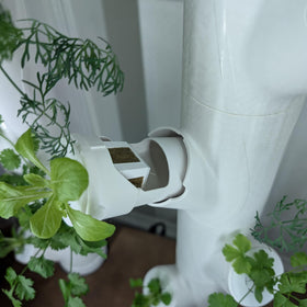 Generic Grow Cubes plug-and-play design enables quick setup for herbs and greens.