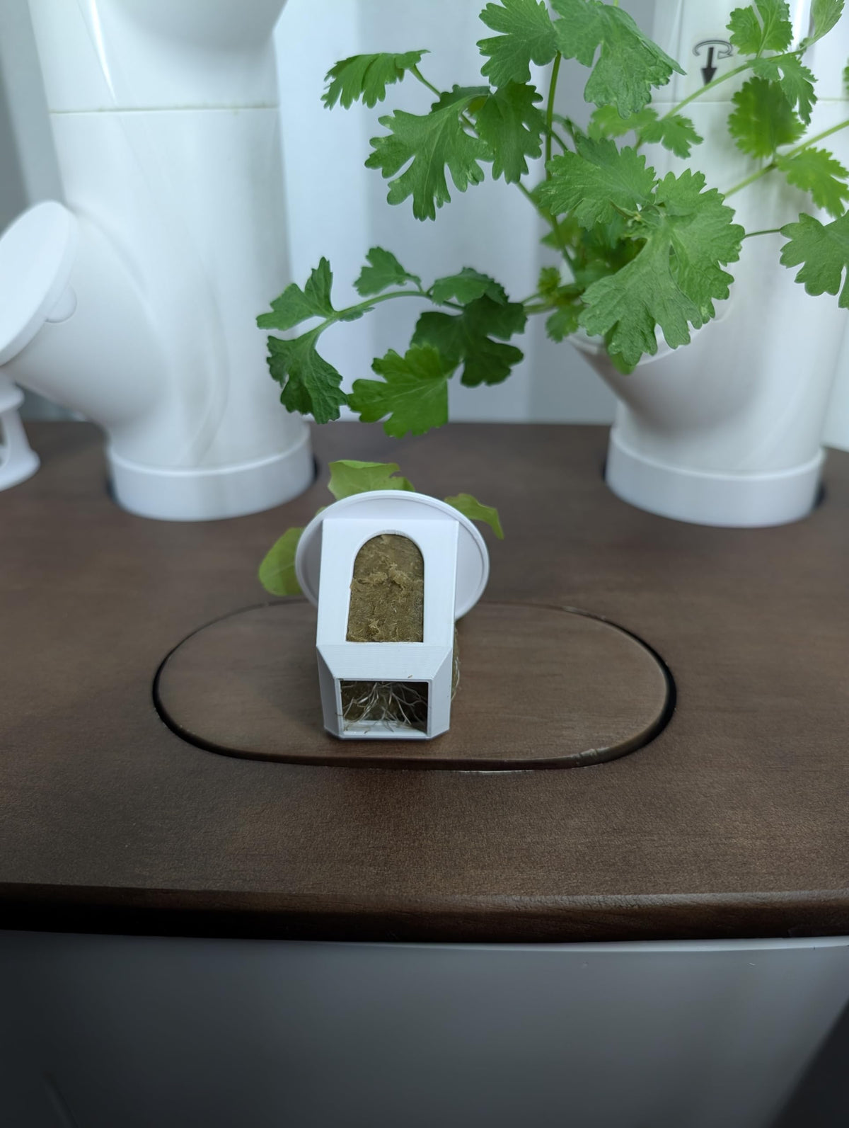 Generic Grow Cubes reusable PETG material supports long-lasting hydroponics.