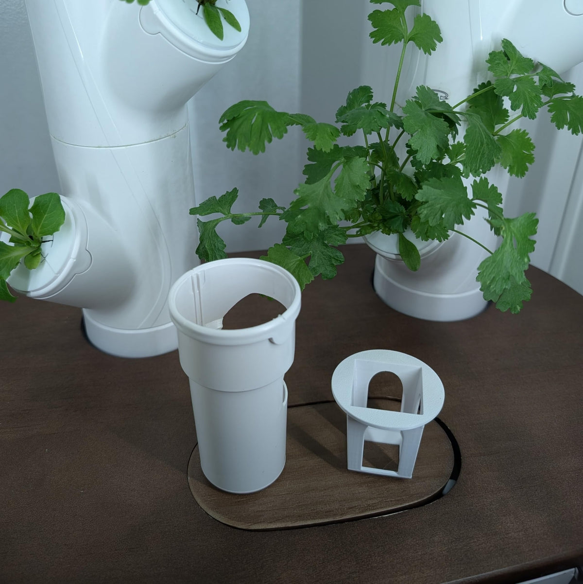 Generic Grow Cubes rockwool-compatible pod supports easy media transitions.