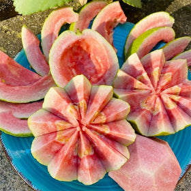 Generic guava seeds seedling care stage promoting sturdy sun-loving young plants.