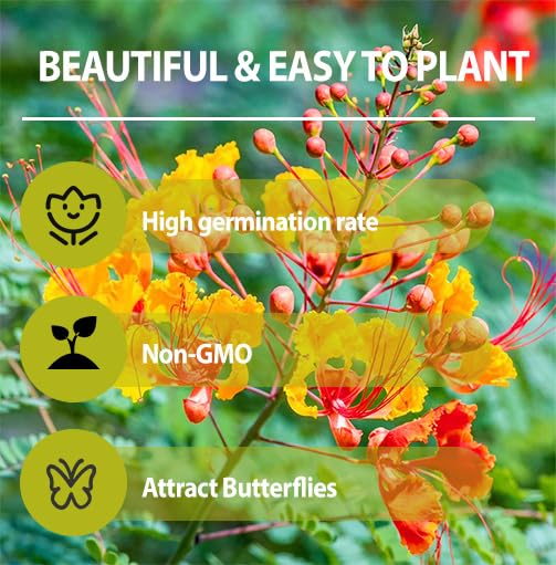 Generic heat-tolerant garden seeds designed for drought-prone landscapes.