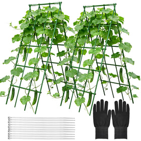 Generic Heavy-Duty Cucumber Trellis out-of-the-box setup for fast garden support.