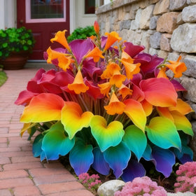 Generic Hosta seeds thrive in shade for low-maintenance woodland and containers.