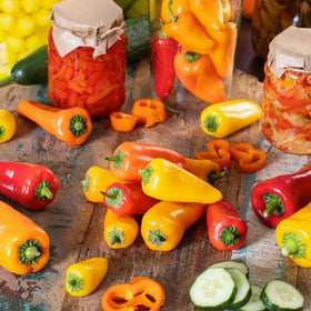 Generic hot-sweet-pepper-seed-collection pack shot with labeled varieties.