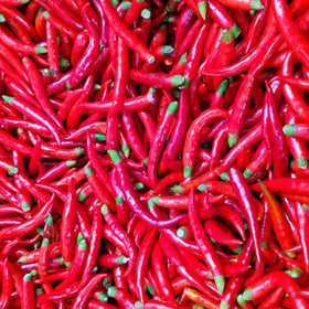 Generic hot-sweet-pepper-seed-collection seeds close-up for detail.