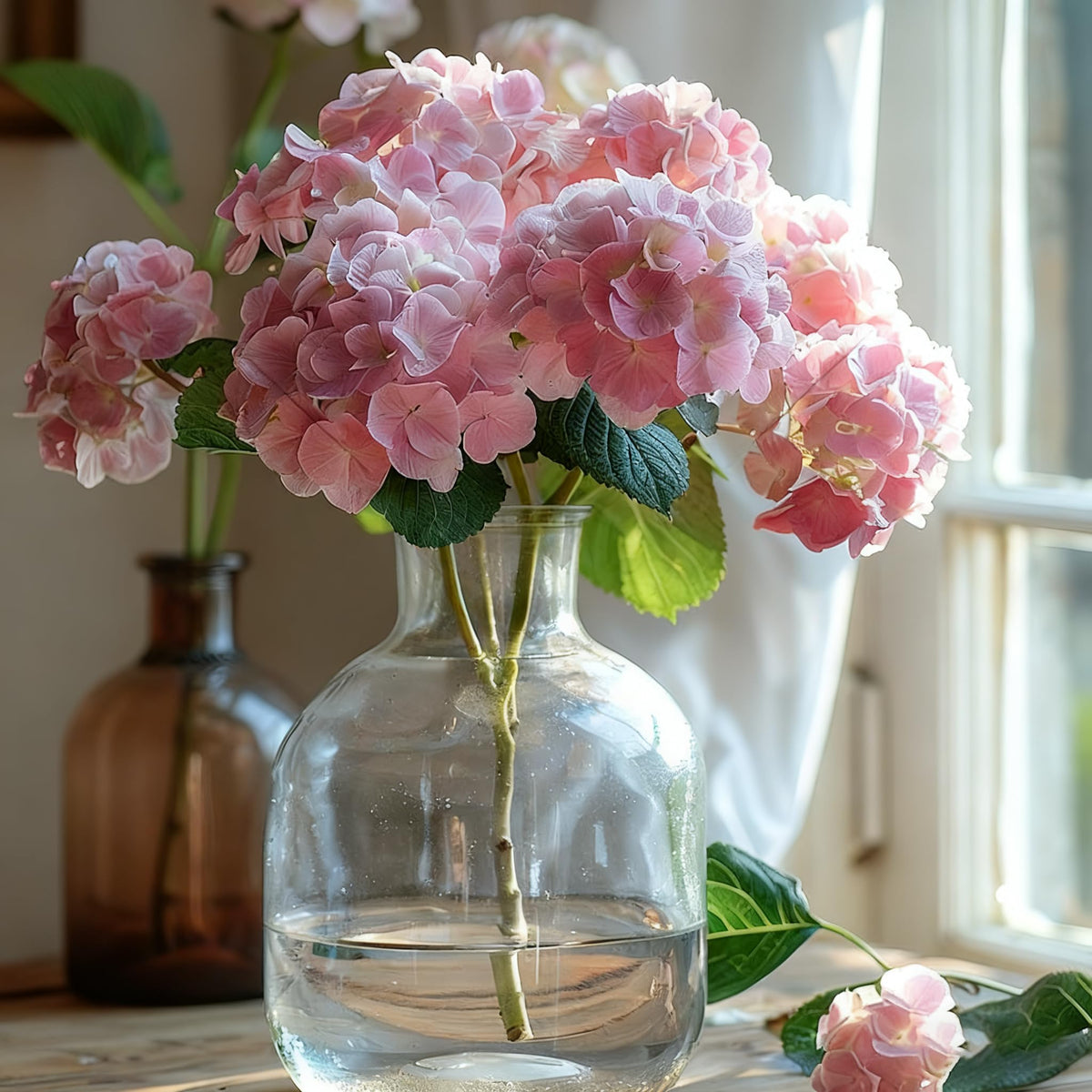 Generic Hydrangea seeds summer to fall bloom in outdoor spaces