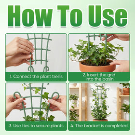 Generic ivy/pothos/hoya trellis demonstrates secure support for climbing plants.