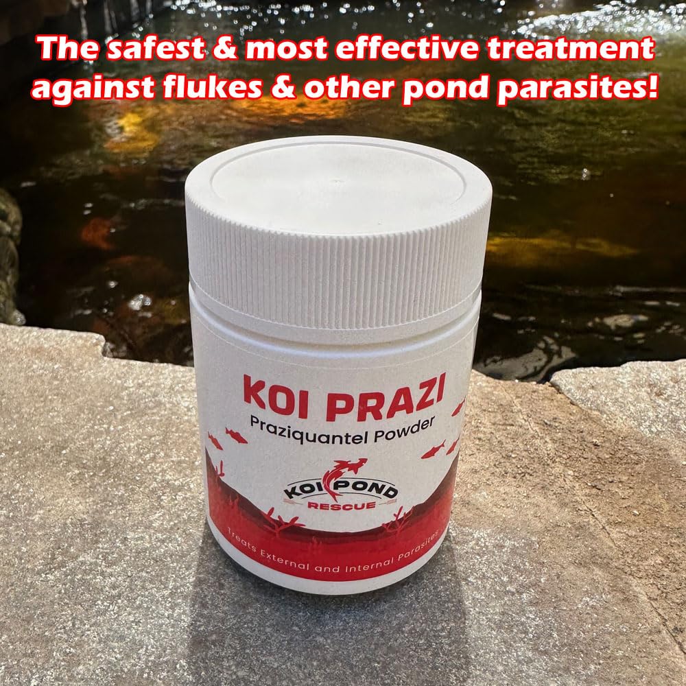 Generic Koi Prazi powder tub front showing packaging designed for freshness.