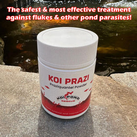 Generic Koi Prazi powder tub front showing packaging designed for freshness.
