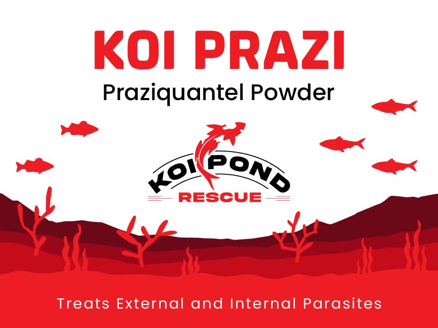 Generic Koi Prazi powder with dosage scoop for easy and precise dosing.