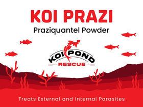 Generic Koi Prazi powder with dosage scoop for easy and precise dosing.