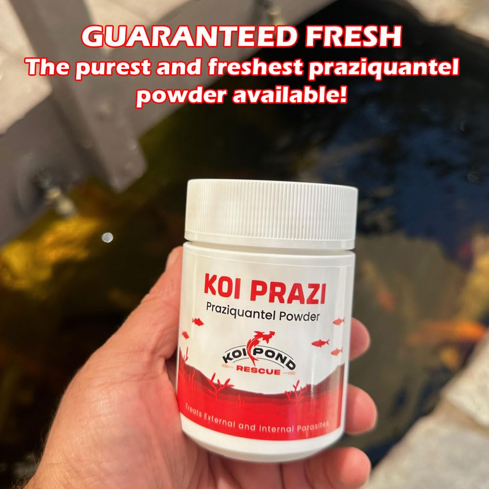 Generic Koi Prazi powder being poured into water for treatment.