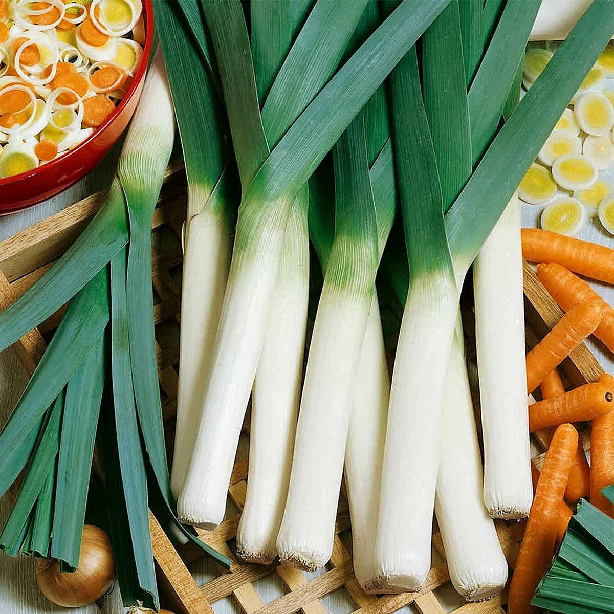 Generic leek seeds germinate in 7-14 days, ideal for planned spring beds.