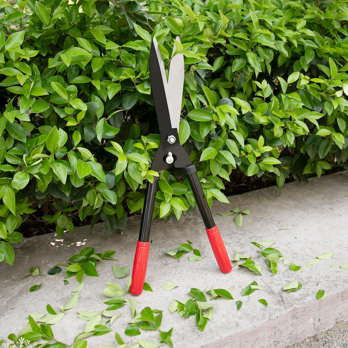 Generic hedge shears adjustable blade tension for task specific performance