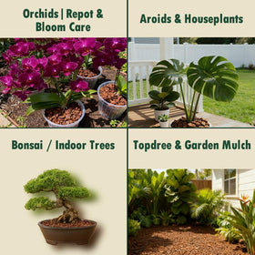 Generic long lasting structure helps media hold shape between repots.