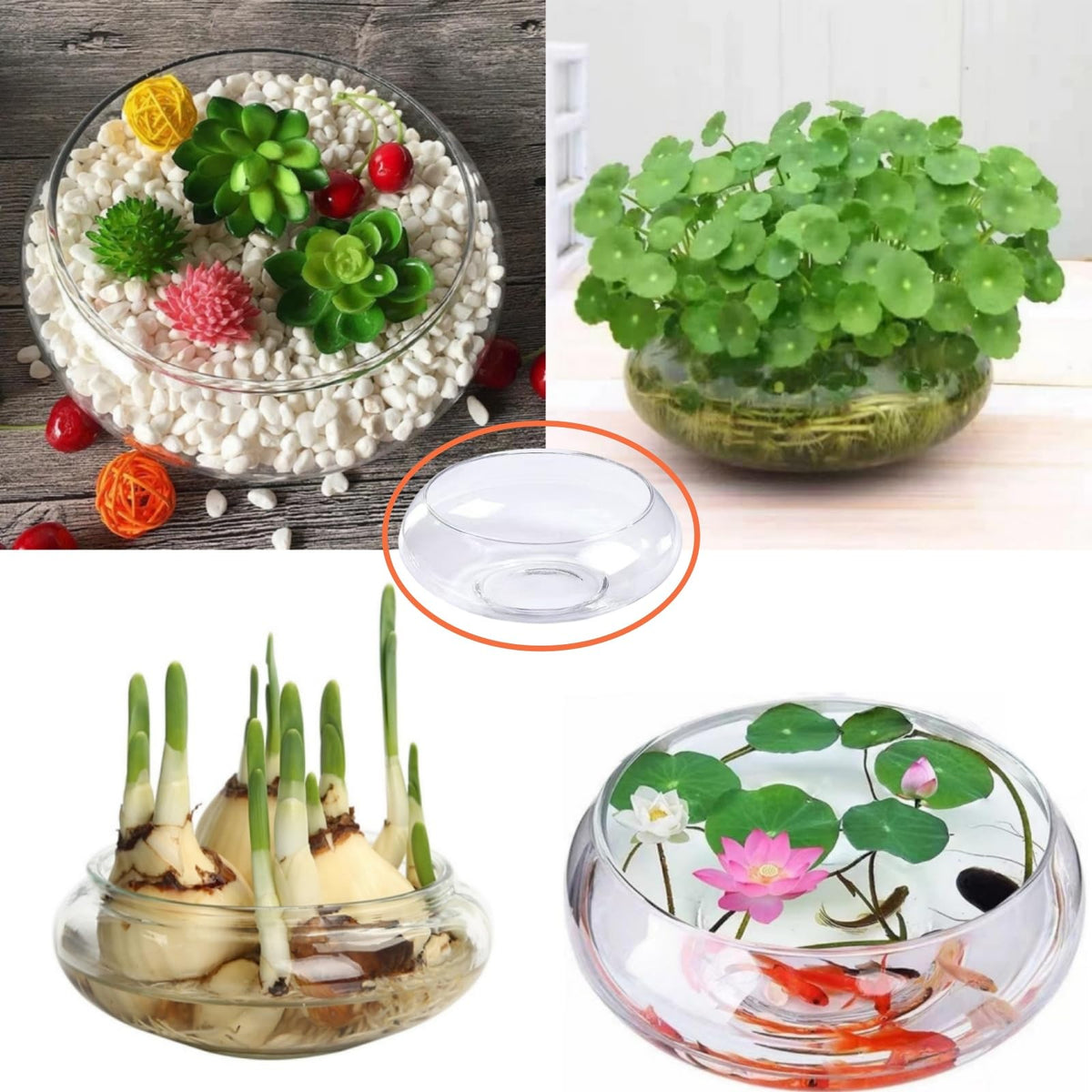 Generic Lotus Bowl home décor accent suitable for coffee tables and shelves.