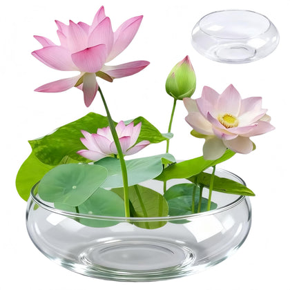 Generic Lotus Bowl round glass planter for indoor plant display and water features.